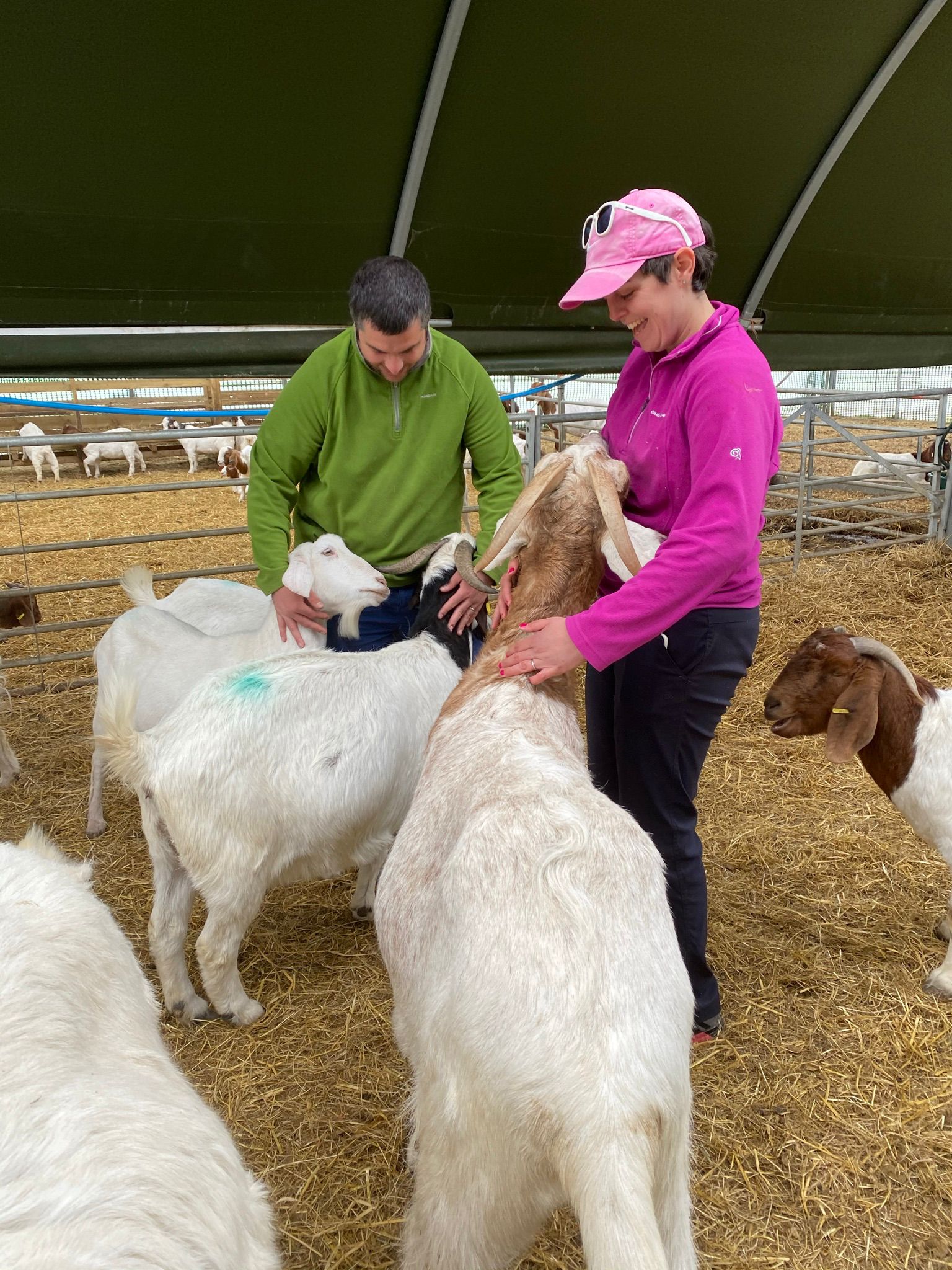 Two visitors petting a group of goats in a pen.