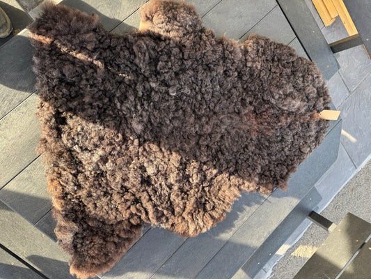 Sheep Skin #2.